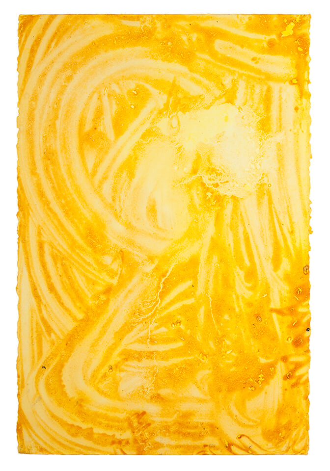 curcuma papel 16.jpg